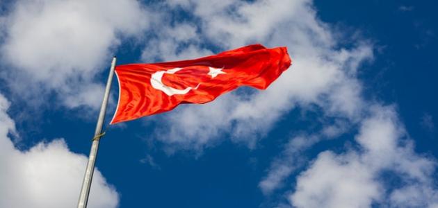 تركيا تصنف سفراء 10 دول “غير مرغوب فيهم”