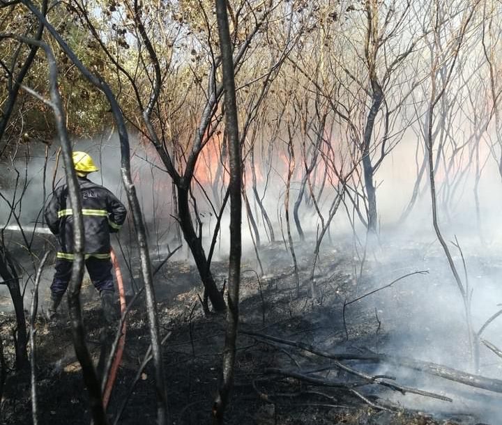 الدفاع المدني تخمد حريقا اندلع في بساتين ديالى
