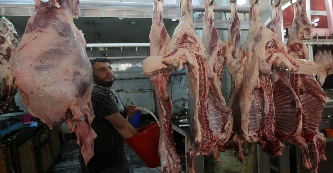 ديالى تبرئ “النزفية” من حمى أسعار اللحوم
