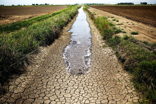 نائب: سياسية تركيا المائية ستقتل المدن العراقية بسبب الجفاف