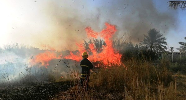 تسجيل 11 حادث حريق في حقول ديالى بسبب الصواعق