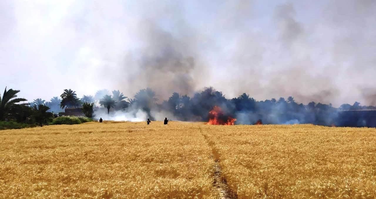 حريق كبير يلتهم مزارع الحنطة في النجف الأشرف